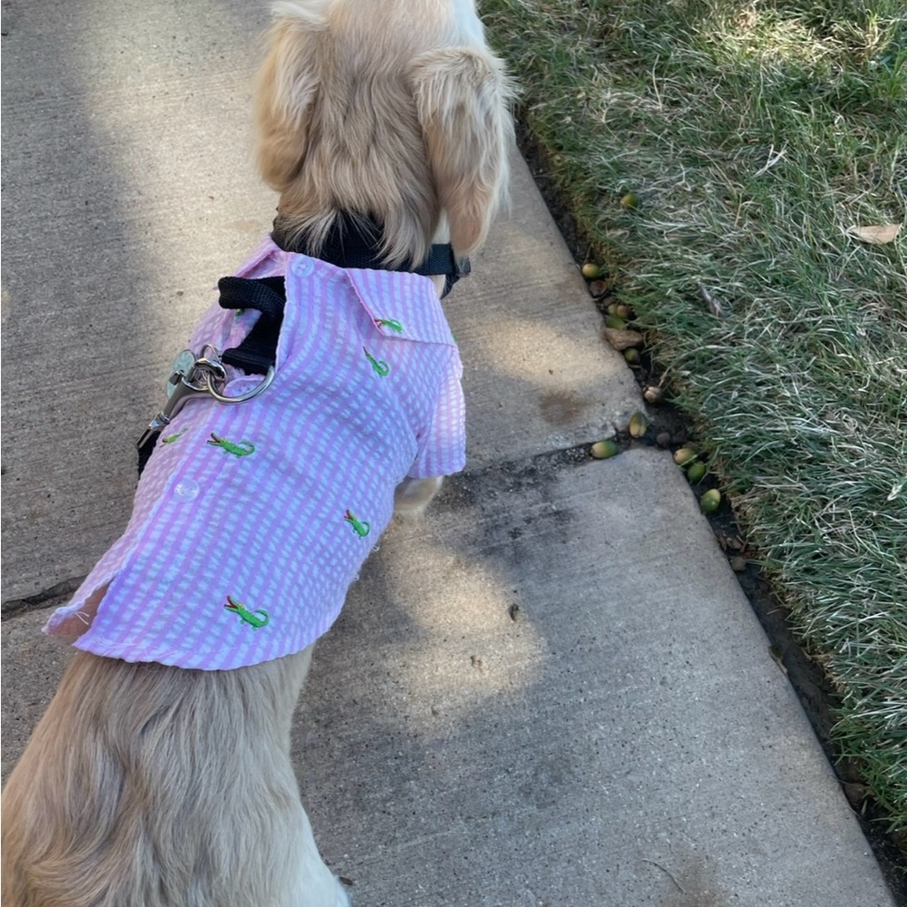 - The Worthy Dog Pet Dog Velcro Alligator striped Pink Shirt size XS NWOT
